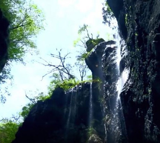 青山綠水，白龍江畔江畔息白鷺，兩岸綠橄欖入眼的都是純樸自然枝上花開(kāi)，春來(lái)水暖魚(yú)蝦戲水，鳥(niǎo)語(yǔ)花香心中充滿(mǎn)著舒暢之感祥宇生態(tài)產(chǎn)業(yè)園，位于隴南市武..